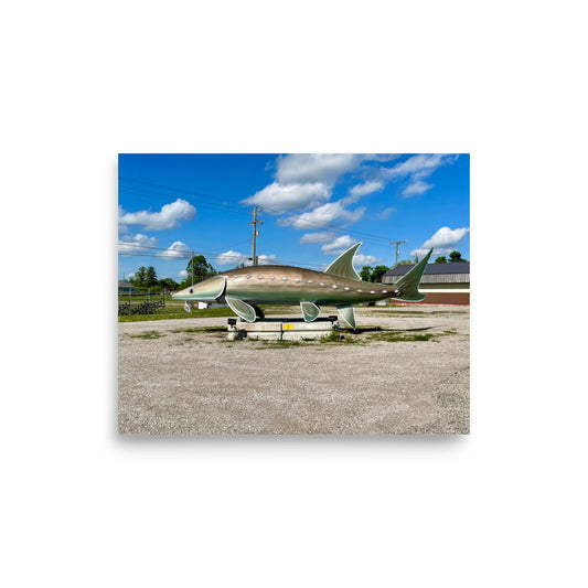 World's Largest Sturgeon (Onaway, MI)