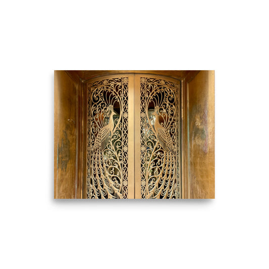 Bronze Peacock Doors (Chicago, IL)
